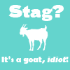 Stag? It's a goat!