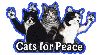 Cats for Peace