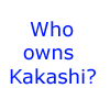 who owns kakashi?