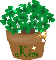 POT OF CLOVERS WITH NAME KIM