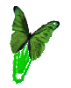 Green butterfly clip