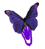 Purple butterfly clip
