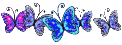 Blue and violet  butterflies