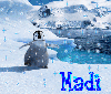 madi penguins  background