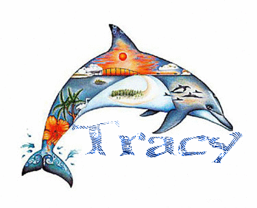 tracy