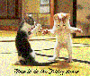 cats dancing