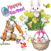 Bunny and eggs