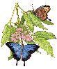 Butterflies On Leaf Branch