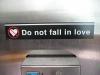 dont fall in love