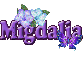 Purple flower & Butterfly: Migdalia