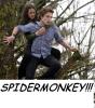 Spidermonkey Twilight 