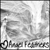 Angel Feathers