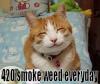 420 Smoke Everyday