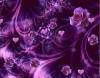 Purple Heart n Roses