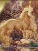 horse with glitter