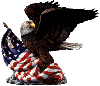 Eagle n Flag