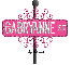 hot pink street sign gabryanne ST