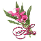 Pink Lily: Aira