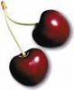 Dark Red Cherries