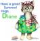 Summer Cat - Diane