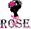 Classy Rose
