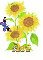 ari sun flower
