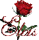 red rose elvis