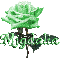 green rose migdalia