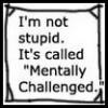 mentaly challenged