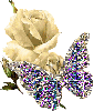 White Rose and Butterfly
