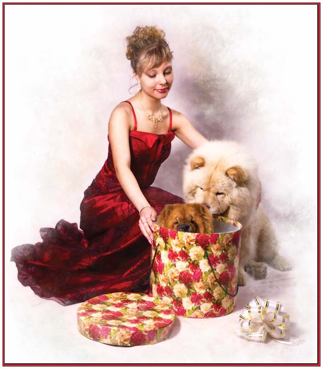 CHRISTMAS - NEW YEAR