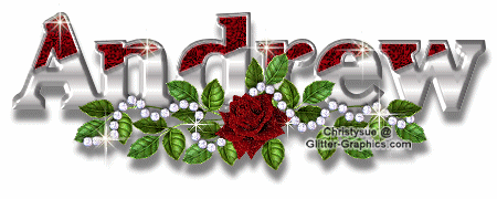 Red Rose-Andrew