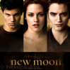 New Moon, edward bella and jacob