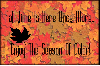 season of color