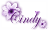 Purple Flower - Cindy