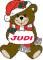 Christmas Teddy Bear - Judi