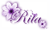 Purple Flower - Rita