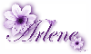 Purple Flower - Arlene