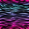 Colored zebra background
