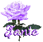 purple rose janie