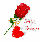 a rose for you-Siddiqa