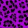 Purple leopard background