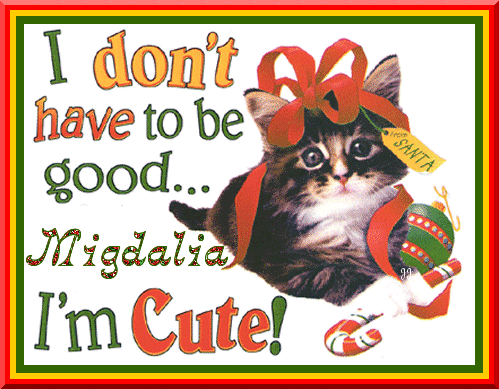 Migdalia ~ I Don't Have To Be Good I'm Cute!
