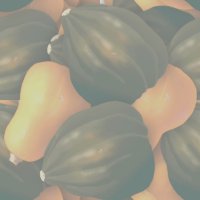 squash wallpaper