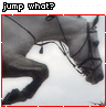 jump what