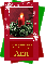 Christmas candle-Ann