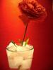 The rose on the drink