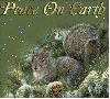 peace on earth squirrel