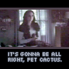 It's gonna be alright,pet cactus