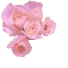 rosas rosa pastel